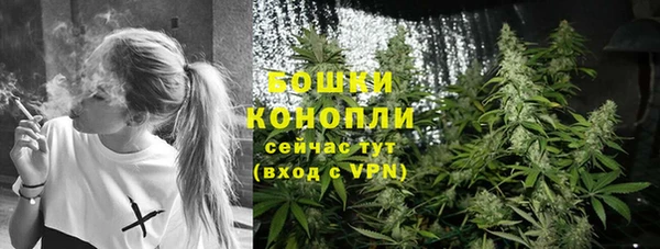 эйфоретик Гусев