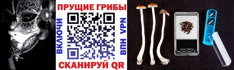ссылка на мегу рабочий сайт Мещовск Галлюциногенные грибы мухоморы